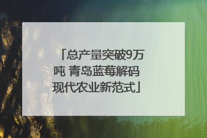 总产量突破9万吨 青岛蓝莓解码现代农业新范式