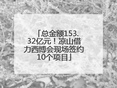 总金额153.32亿元！凉山借力西博会现场签约10个项目