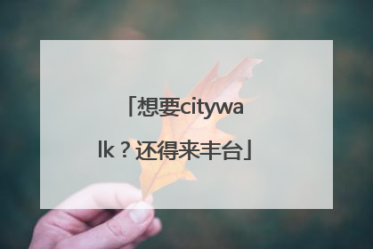 想要citywalk？还得来丰台