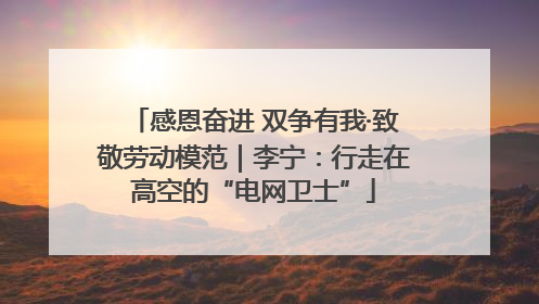 感恩奋进 双争有我·致敬劳动模范｜李宁：行走在高空的“电网卫士”
