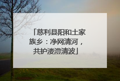 慈利县阳和土家族乡：净网清河，共护溇澧清波