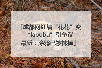 成都网红墙“花花”变“labubu”引争议 最新：涂鸦已被抹掉