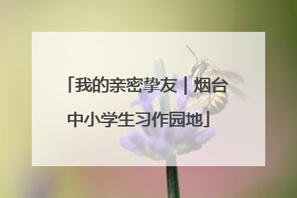 我的亲密挚友｜烟台中小学生习作园地