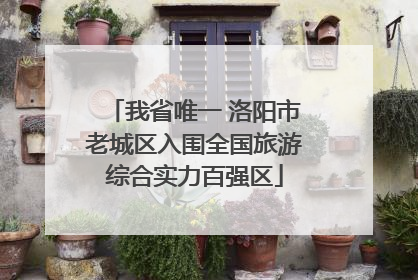 我省唯一 洛阳市老城区入围全国旅游综合实力百强区