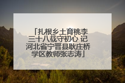 扎根乡土育桃李 三十八载守初心 记河北省宁晋县耿庄桥学区教师张志涛