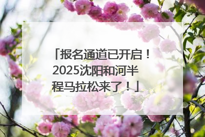 报名通道已开启！2025沈阳和河半程马拉松来了！