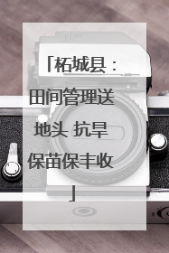 柘城县：田间管理送地头 抗旱保苗保丰收