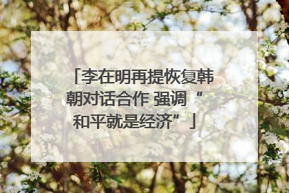 李在明再提恢复韩朝对话合作 强调“和平就是经济”