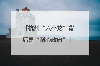 杭州“六小龙”背后是“耐心政府”