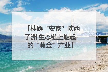 林麝“安家”陕西子洲 生态链上崛起的“黄金”产业