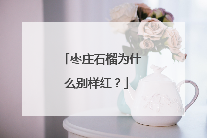 枣庄石榴为什么别样红？