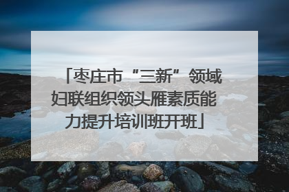 枣庄市“三新”领域妇联组织领头雁素质能力提升培训班开班