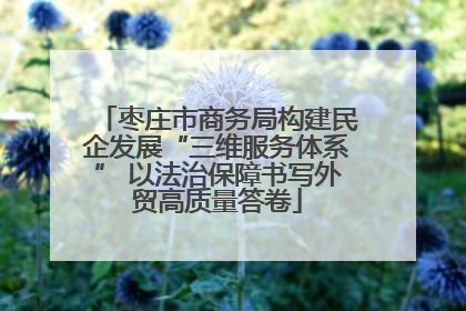 枣庄市商务局构建民企发展“三维服务体系” 以法治保障书写外贸高质量答卷