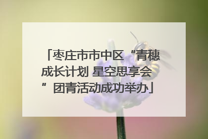 枣庄市市中区“青穗成长计划 星空思享会”团青活动成功举办