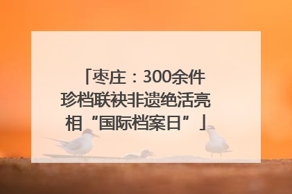 枣庄：300余件珍档联袂非遗绝活亮相“国际档案日”
