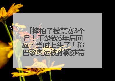 摔拍子被禁赛3个月！王楚钦6年后回应：当时上头了！称巴黎奥运被孙颖莎带着打，搭档8年“一个眼神就能懂”