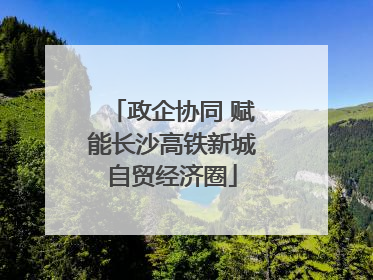 政企协同 赋能长沙高铁新城自贸经济圈