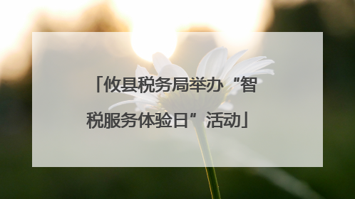 攸县税务局举办“智税服务体验日”活动
