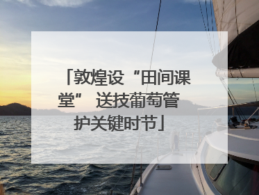 敦煌设“田间课堂” 送技葡萄管护关键时节