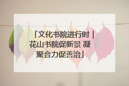 文化书院进行时｜花山书院促新景 凝聚合力促善治