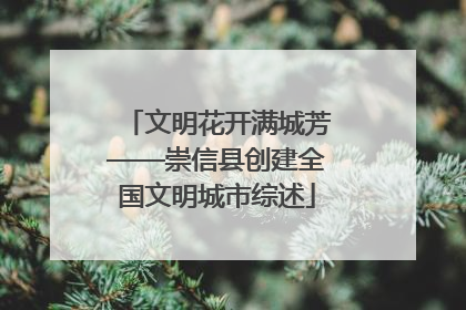 文明花开满城芳——崇信县创建全国文明城市综述