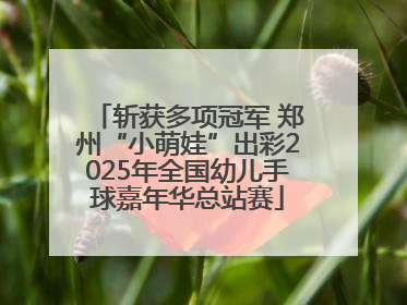 斩获多项冠军 郑州“小萌娃”出彩2025年全国幼儿手球嘉年华总站赛