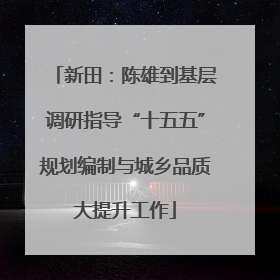 新田：陈雄到基层调研指导“十五五”规划编制与城乡品质大提升工作