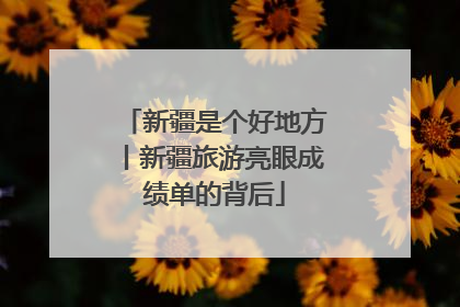 新疆是个好地方丨新疆旅游亮眼成绩单的背后