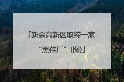 新余高新区取缔一家“黑鞋厂”(图)