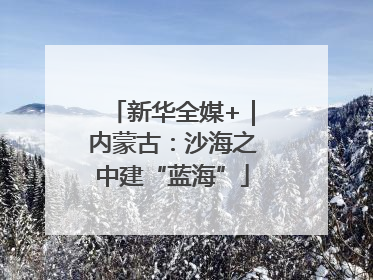 新华全媒+｜内蒙古：沙海之中建“蓝海”