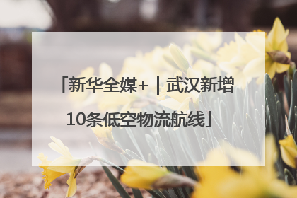 新华全媒+｜武汉新增10条低空物流航线