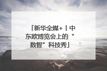 新华全媒+丨中东欧博览会上的“数智”科技秀