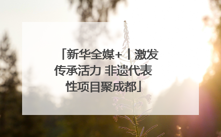 新华全媒+丨激发传承活力 非遗代表性项目聚成都
