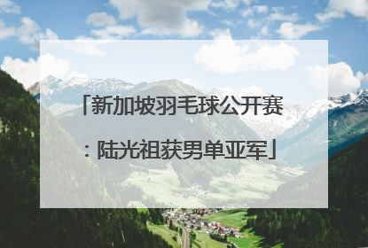新加坡羽毛球公开赛：陆光祖获男单亚军