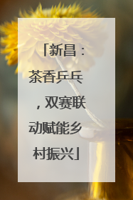 新昌：茶香乒乓，双赛联动赋能乡村振兴