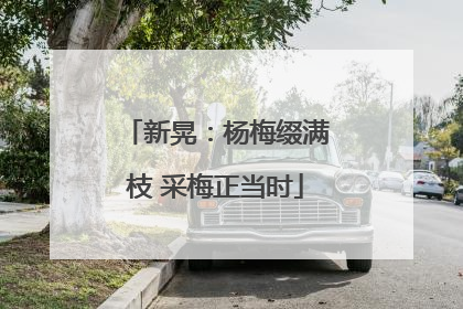 新晃：杨梅缀满枝 采梅正当时