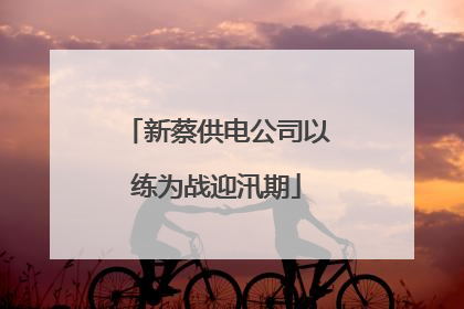 新蔡供电公司以练为战迎汛期