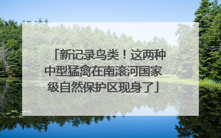 新记录鸟类！这两种中型猛禽在南滚河国家级自然保护区现身了