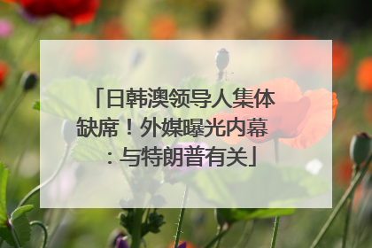 日韩澳领导人集体缺席！外媒曝光内幕：与特朗普有关