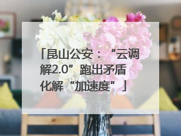 昆山公安：“云调解2.0”跑出矛盾化解“加速度”