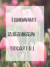 昆明商场打造蓝花楹花海引民众打卡