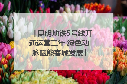 昆明地铁5号线开通运营三年 绿色动脉赋能春城发展