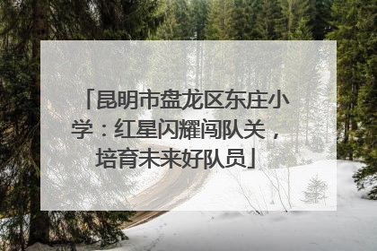 昆明市盘龙区东庄小学：红星闪耀闯队关，培育未来好队员