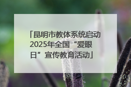 昆明市教体系统启动2025年全国“爱眼日”宣传教育活动