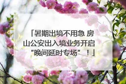 暑期出境不用急 房山公安出入境业务开启“晚间延时专场”！