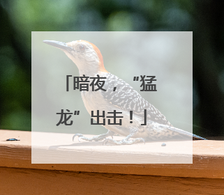 暗夜，“猛龙”出击！
