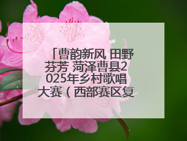 曹韵新风 田野芬芳 菏泽曹县2025年乡村歌唱大赛（西部赛区复赛）举行