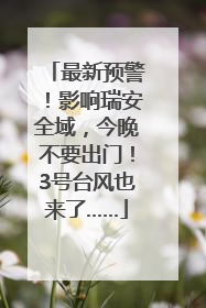 最新预警！影响瑞安全域，今晚不要出门！3号台风也来了……