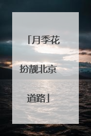 月季花扮靓北京道路