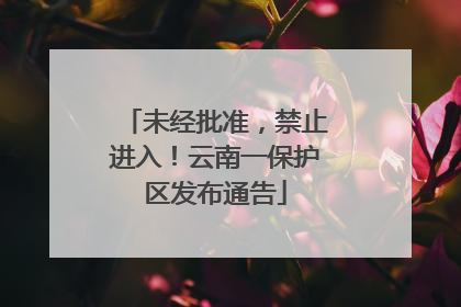 未经批准，禁止进入！云南一保护区发布通告